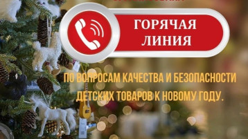 «Горячая линия» по вопросам качества и безопасности детских товаров, выбору новогодних подарков «Горячая линия» по вопросам качества и безопасности детских товаров, выбору новогодних подарков.